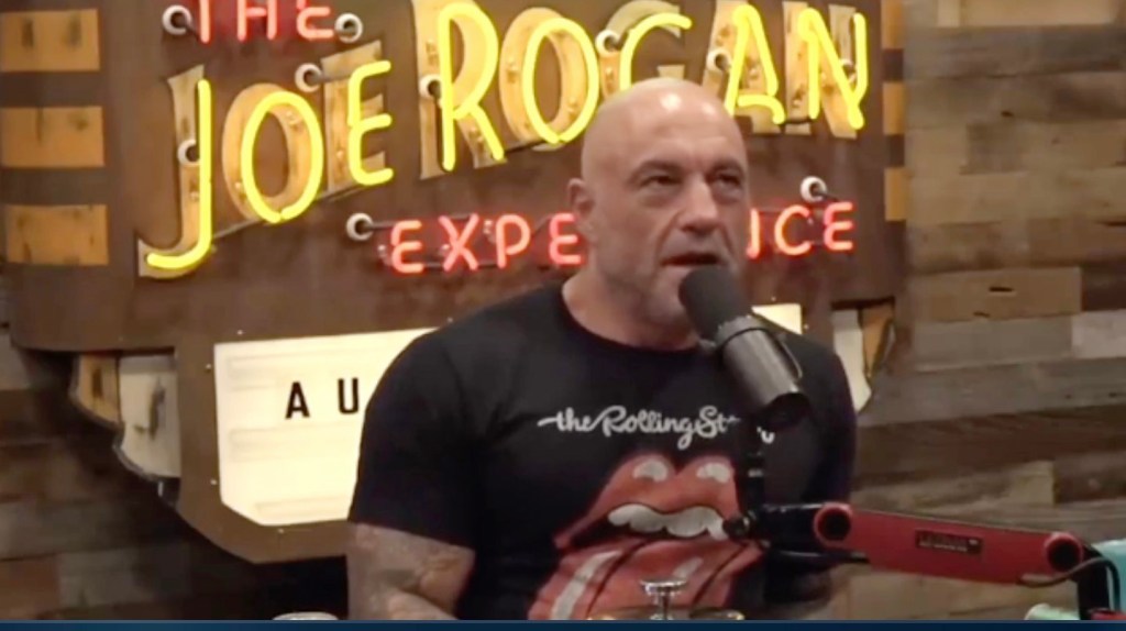 Photograph of a man who speaks in a microphone, wearing a blouse of rotating stone, in front of a "Joe Rogan's experience" mark