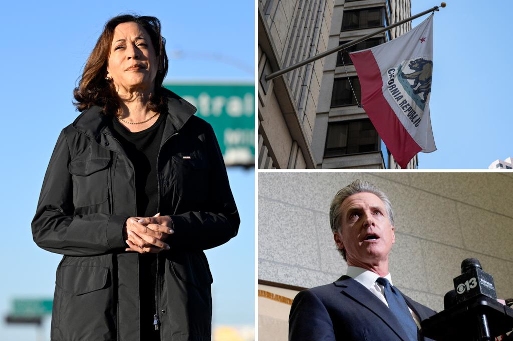 'No one' excited about the potential guide of Kamala Harris Gubernatorial, Say California donors